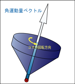 回転するコマにとっての角運動量ベクトルがコマの回転軸方向であることを示した図