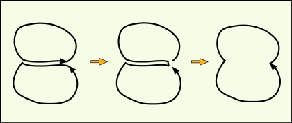 二つの隣接した積分経路が一つにまとめられる様子を説明する図